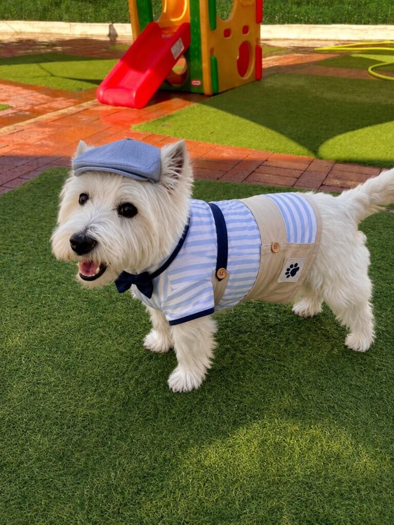 Happy guest at The Pet Ranch, photo 20