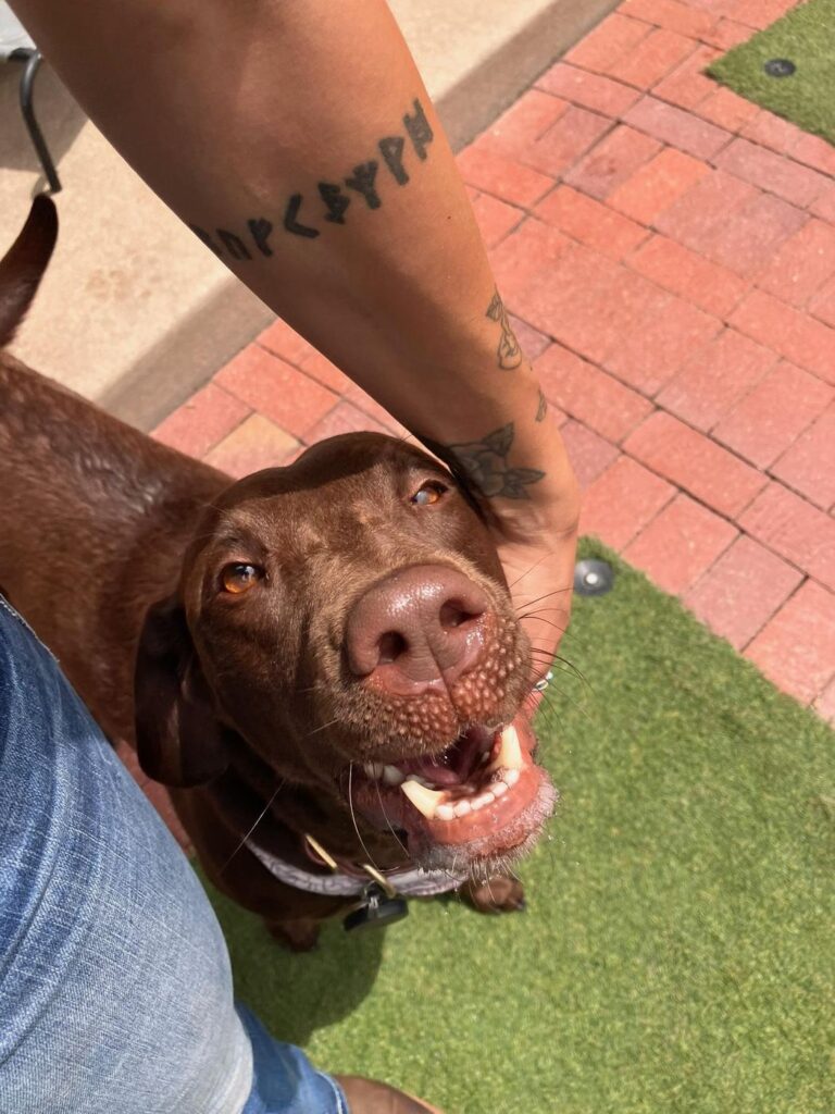 Happy guest at The Pet Ranch, photo 150